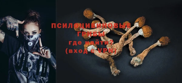 гашик Балабаново