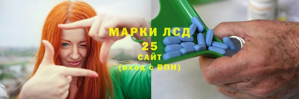 прущие грибы Балахна