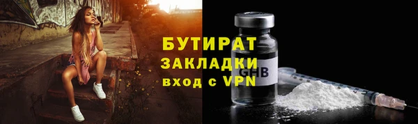 прущие грибы Балахна