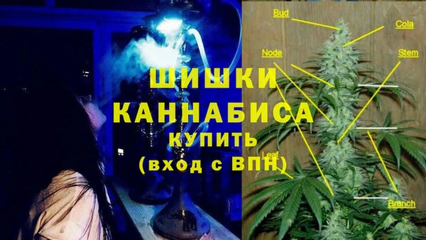 стаф Аркадак