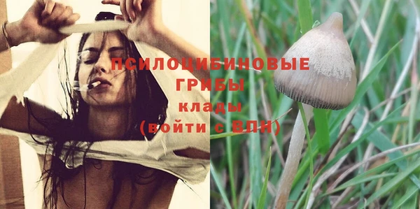 прущие грибы Балахна