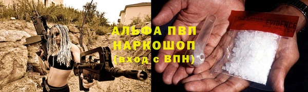 PSILOCYBIN Армянск