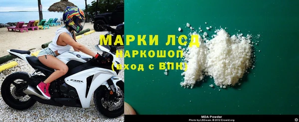 прущие грибы Балахна
