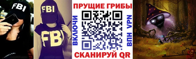 где купить   Баймак  Галлюциногенные грибы Psilocybe 